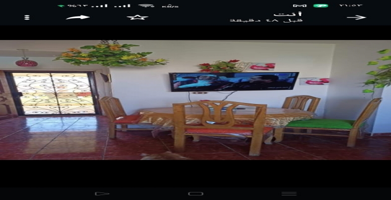 شاليه للايجار بالساحل الشمالى مرسيليا بيتش 1 - Chalet for rent in North Coast Marseilla Beach 1