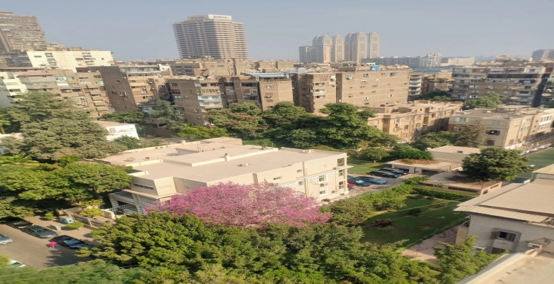 شقه للايجار مفروشه بالكامل بالزمالك |