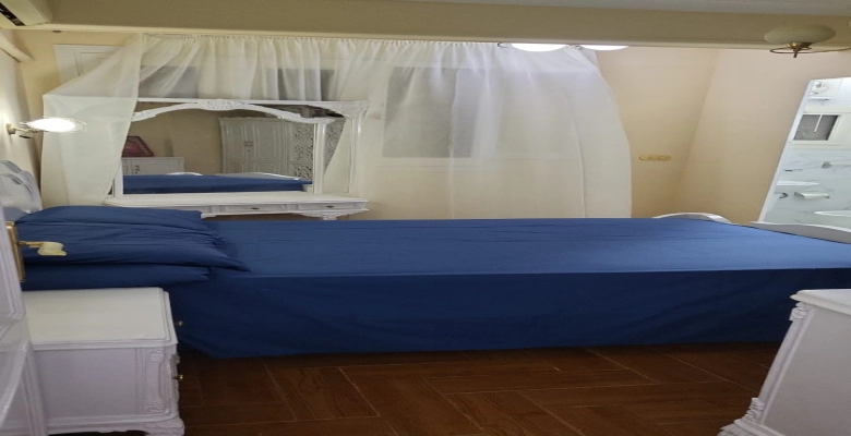 شقة مفروشة  للايجار فى المهندسين شارع احمدعرابى 130 متر -  Apartment for rent in Ahmed Orabi Street