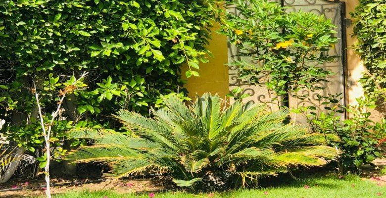 شاليه للإيجار في مارينا الساحل الشمالي 4 غرف