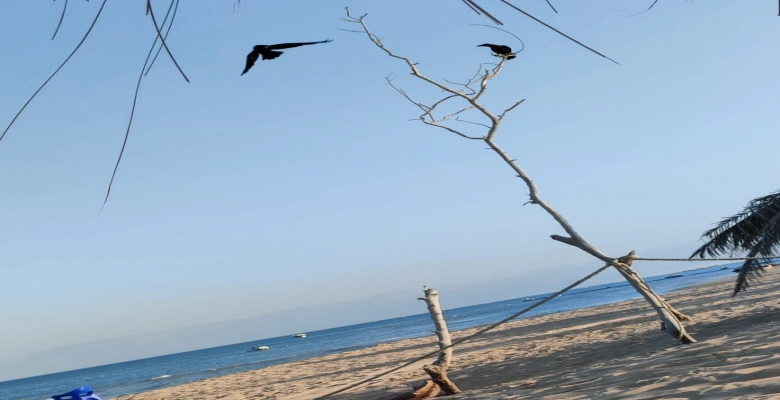 شالية للبيع في العين السخنة في قرية لا سرينا بالم Chalet for rent in Ain Sokhna in La Serena village