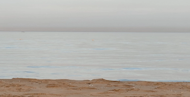 شالية للبيع في العين السخنة في قرية لا سرينا بالم Chalet for rent in Ain Sokhna in La Serena village