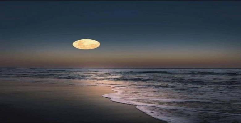 شاليه للايجار بقرية بالميرا العين السخنة / A chalet in the village of Palmera, Ain Sokhna for rent