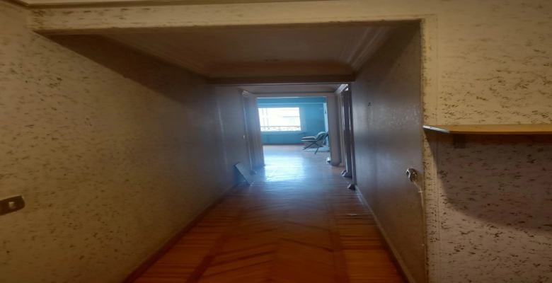 دوبلكس للايجار بشارع أمين الرافعي - الدقي / Duplex for rent on Amin El-Rafei Street in Dokki