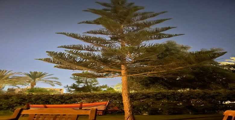 شاليه للايجار في مراسي كاتانيا - أفضل سعر Marassi Catania