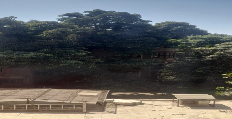 مكتب للايجار في الزمالك | Algomhoria