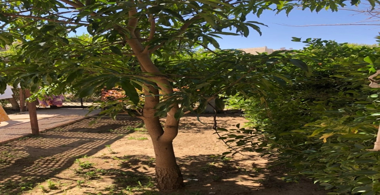 فيلا للايجار بمارينا 4 في الساحل الشمالي