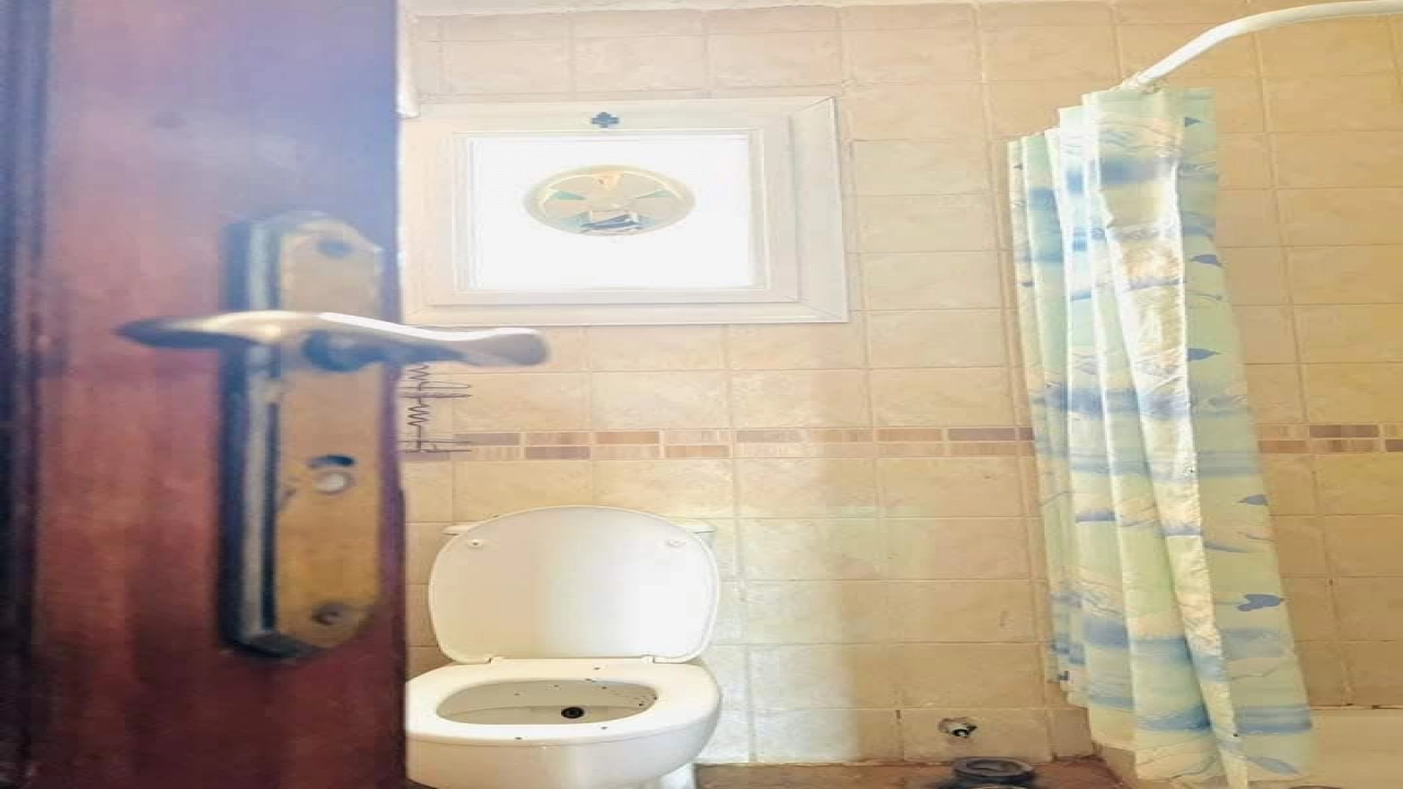 ايجار شاليه في السخنه