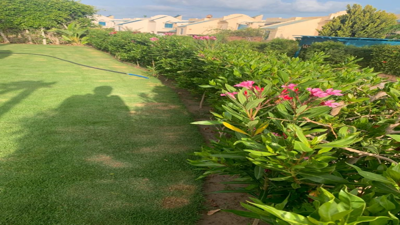 شاليه للايجار في قريه مينا4 3 غرف ارضي بجاردن