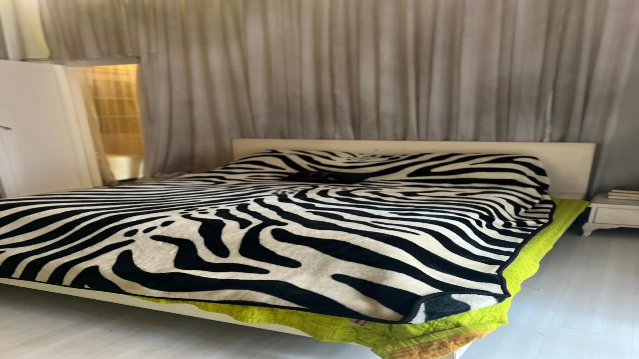 شقة إيجار مفروش بالزمالك - الناحية القبلية (بالقرب من نادي الجزيرة)