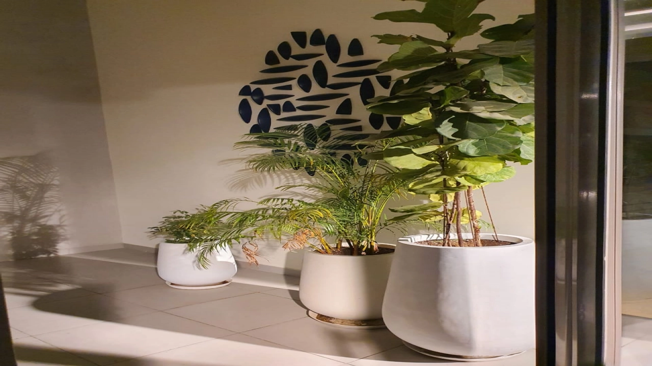 شاليه للايجار في مراسي مارينا 2 غرفتين