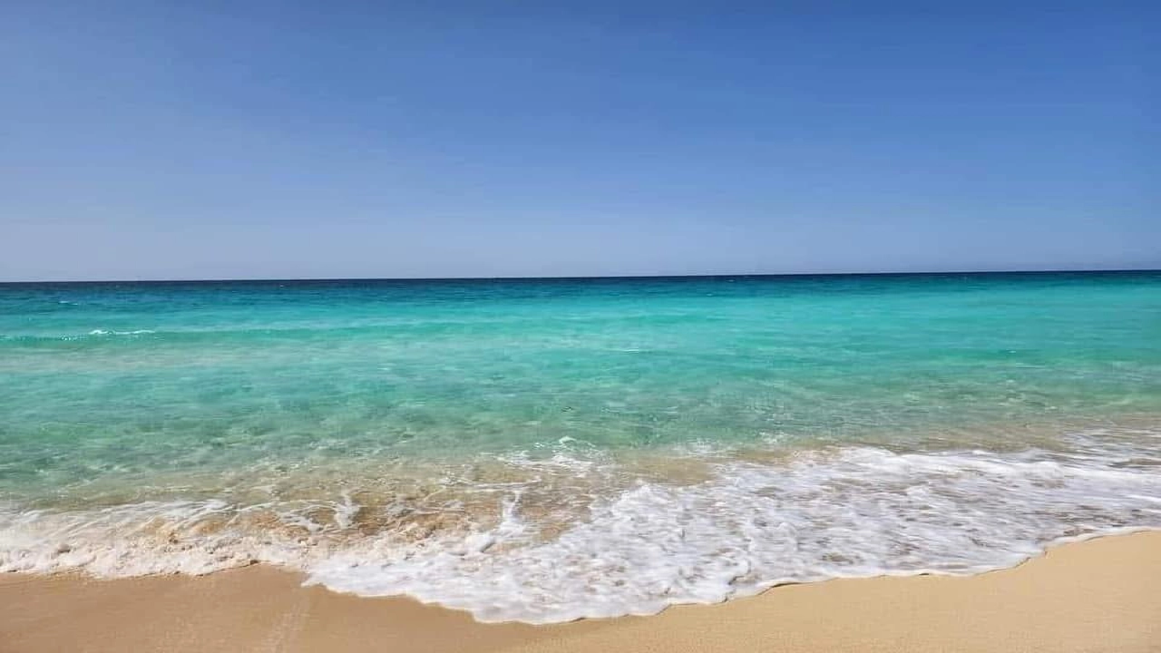 شاليه ارضي بجاردن في جايا سيدي عبد الرحمن (الساحل الشمالي )