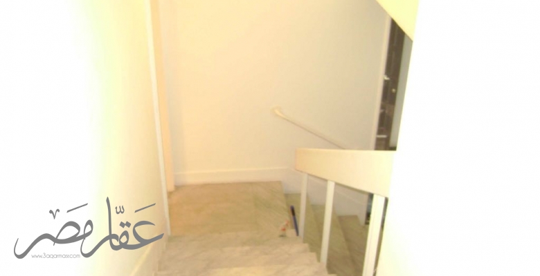 Furnished Villa for rent 000 M2 in Cairo Maadi