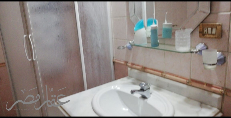 شقه بالمنيل ع النيل مباشره