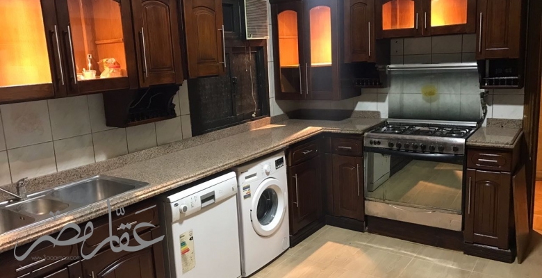 جامعه الدول العربيه