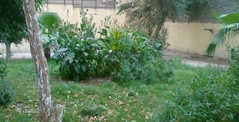 Unfurnished Villa for rent 0.00 M2 in Giza, Dokki