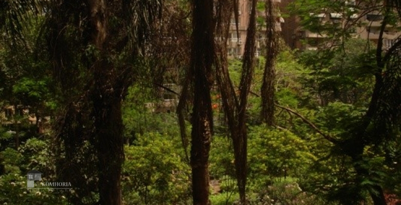 Unfurnished 2 level for rent 220.00 M2 in Giza, Mohandeseen