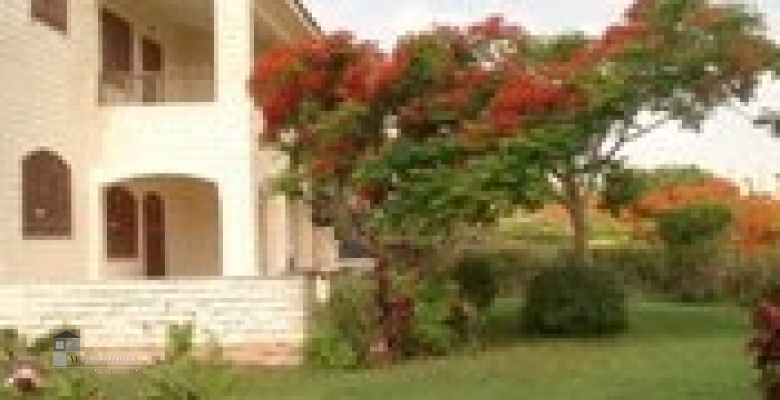 Furnished Villa for rent 0.00 M2 in North Coast, Marina