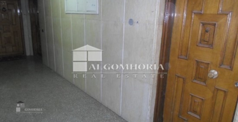 Furnished Apartment for rent 0.00 M2 in Giza, Dokki
