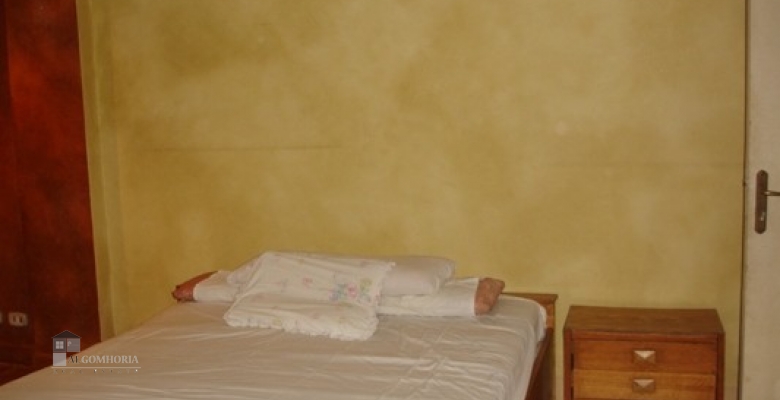 Furnished Apartment for rent 0.00 M2 in Giza, Mohandeseen