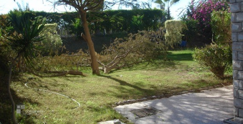 Furnished Chaleh for rent 0.00 M2 in North Coast, Marina