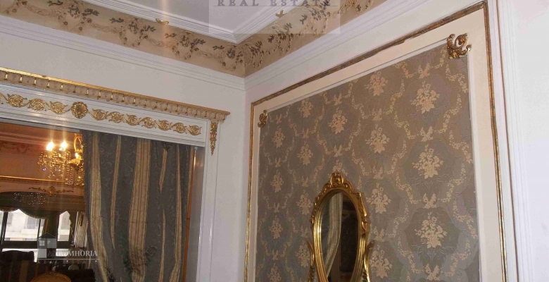Furnished Duplex for rent 0.00 M2 in Giza, Giza