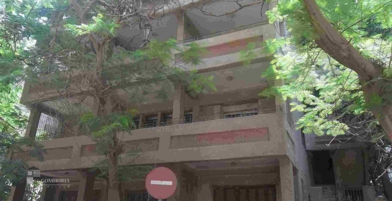 Furnished Building for rent 530.00 M2 in Giza, Dokki