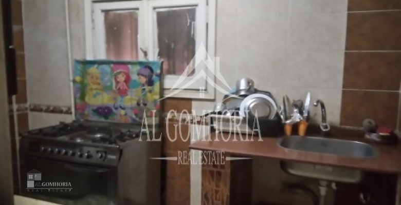 Furnished Apartment for rent 100.00 M2 in Giza, Dokki