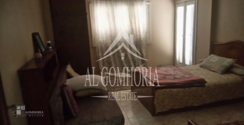 Furnished Apartment for rent 100.00 M2 in Giza, Dokki