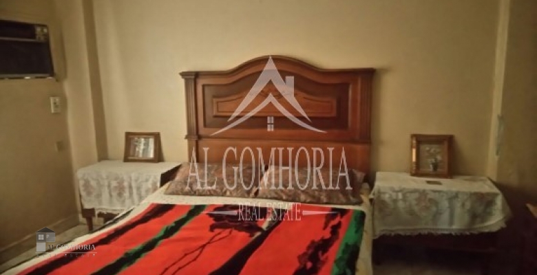 Furnished Apartment for rent 100.00 M2 in Giza, Dokki