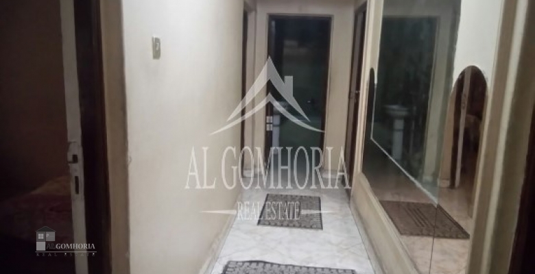Furnished Apartment for rent 100.00 M2 in Giza, Dokki