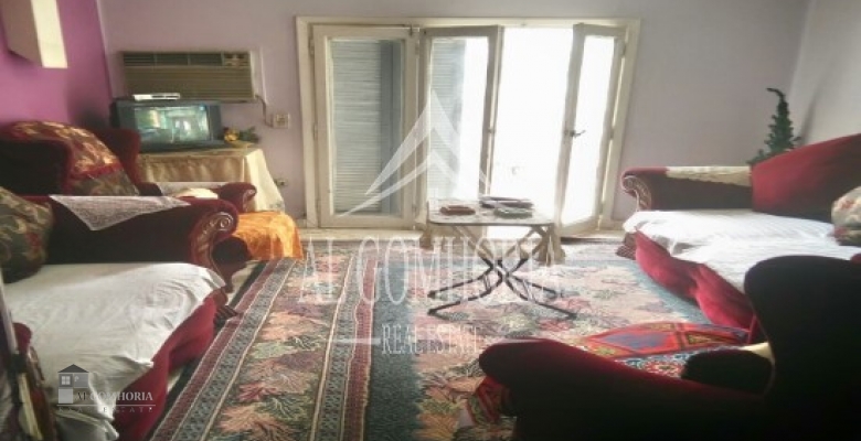 Furnished Apartment for rent 100.00 M2 in Giza, Dokki