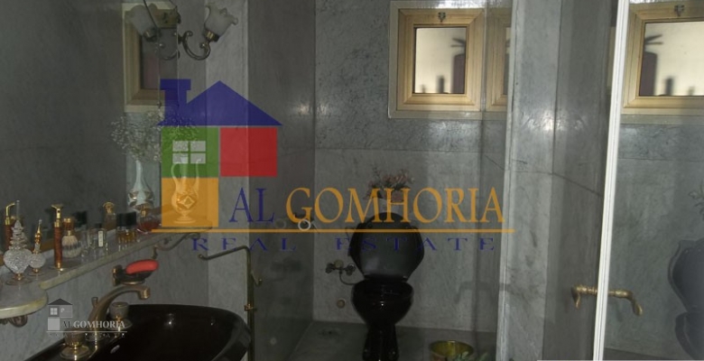 Furnished Apartment for rent 475.00 M2 in Cairo, Zamalek