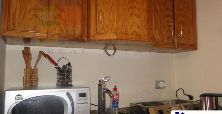 Furnished Apartment for rent 0.00 M2 in North Coast, Marina