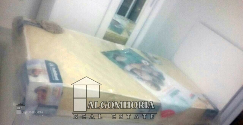 Furnished Apartment for rent 0.00 M2 in Cairo, Zamalek