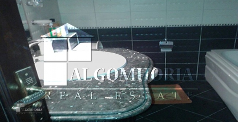 Furnished Apartment for rent 300.00 M2 in Giza, Dokki
