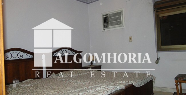 Furnished Apartment for rent 0.00 M2 in Cairo, Zamalek