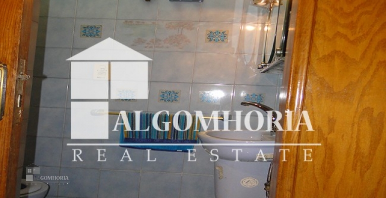 Furnished Apartment for rent 0.00 M2 in Cairo, Zamalek