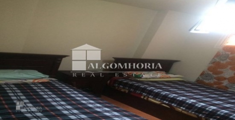 Furnished Apartment for rent 0.00 M2 in North Coast, Golf Porto Marina