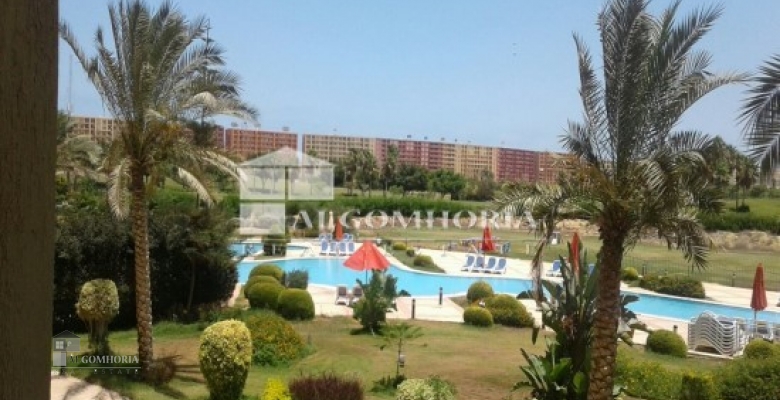 Furnished Apartment for rent 0.00 M2 in North Coast, Golf Porto Marina