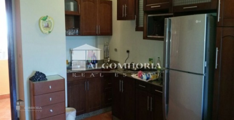 Furnished Chaleh for rent 0.00 M2 in North Coast, Golf Porto Marina