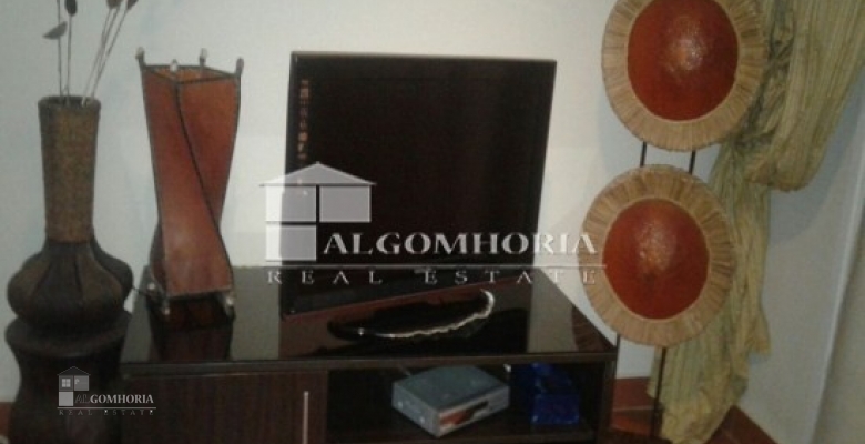 Furnished Chaleh for rent 0.00 M2 in North Coast, Golf Porto Marina