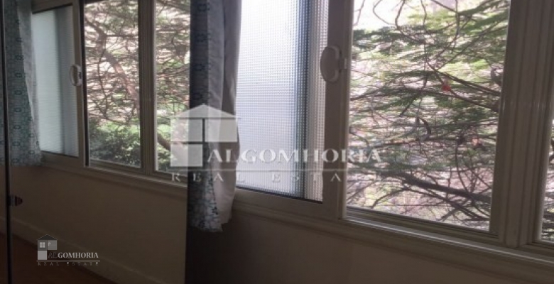 Furnished Apartment for rent 0.00 M2 in Giza, Mohandeseen