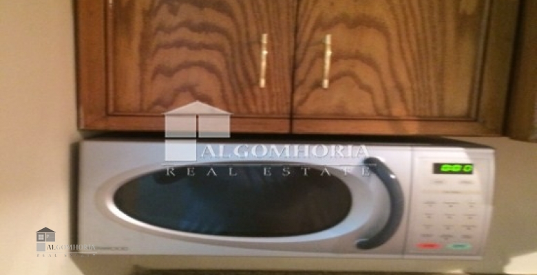 Furnished Apartment for rent 0.00 M2 in Giza, Mohandeseen
