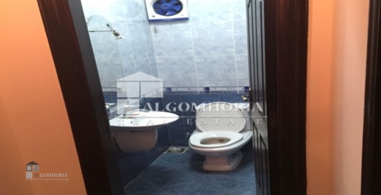Furnished Apartment for rent 0.00 M2 in Cairo, Maadi