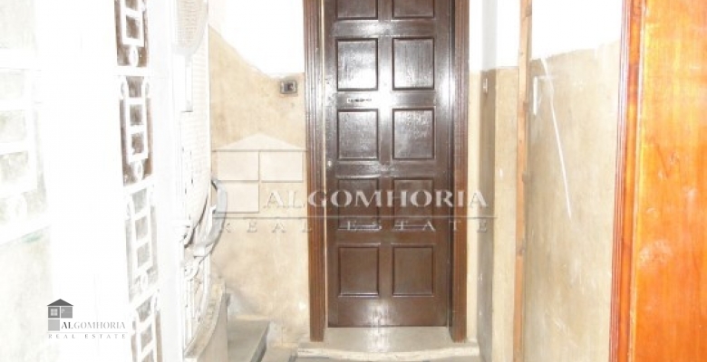 Furnished Apartment for rent 0.00 M2 in Giza, Agouza