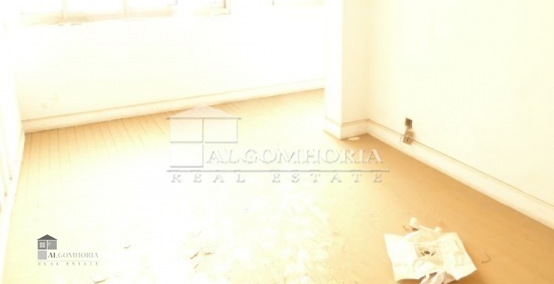 Furnished Apartment for rent 240.00 M2 in Giza, Agouza