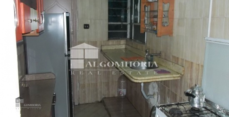 Furnished Apartment for rent 0.00 M2 in Giza, Agouza