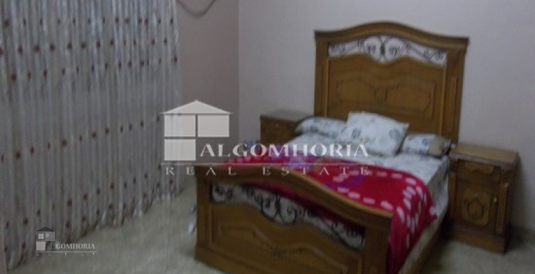 Furnished Apartment for rent 0.00 M2 in Giza, Agouza