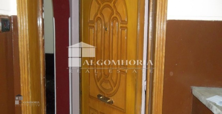 Furnished Apartment for rent 0.00 M2 in Giza, Agouza